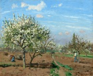 Orchard in Bloom, Louveciennes-ZYGR52195
