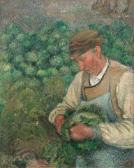 The Gardener - Old Peasant with Cabbage-ZYGR89683