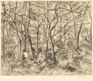 Wooded Landscape at L'Hermitage, Pontoise (Paysage sous bois, a L'Hermitage,Pontoise)-ZYGR36940