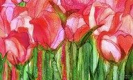 20503946 tulip-bloomies-3-red-carol-cavalaris