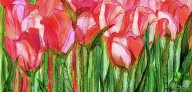 20503950 tulip-bloomies-4-red-carol-cavalaris