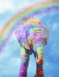 21648446 rainbow-elephant-carol-cavalaris