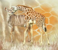21788454 spots-and-stripes-giraffe-antelope-carol-cavalaris