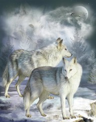 22213682 wolves-in-winter-carol-cavalaris