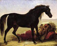 13412238_An_Arabian_Horse_Oil_On_Canvas