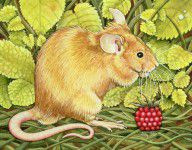 5760698_The_Raspberry_Mouse