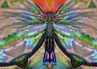 10662509_Her_Heart_Has_Wings_-_Spiritual_Art_By_Sharon_Cummings