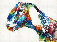 12989542_Colorful_Goat_Art_By_Sharon_Cummings