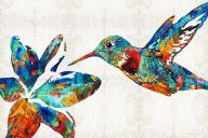 13206539_Colorful_Hummingbird_Art_By_Sharon_Cummings