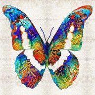 13214403_Colorful_Butterfly_Art_By_Sharon_Cummings