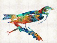 13225113_Colorful_Bird_Art_-_Sweet_Song_-_By_Sharon_Cummings