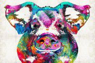 13255919_Colorful_Pig_Art_-_Squeal_Appeal_-_By_Sharon_Cummings