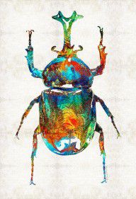 13421724_Colorful_Beetle_Art_-_Scarab_Beauty_-_By_Sharon_Cummings
