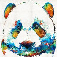 13528402_Colorful_Panda_Bear_Art_By_Sharon_Cummings