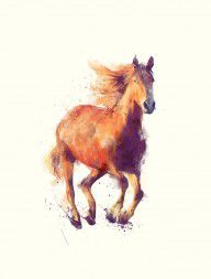 14614416_Horse__Boundless