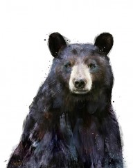 18541569_Black_Bear