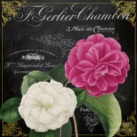 18503862_Fleur_Du_Jour_Camellias