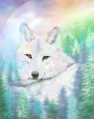 16121555_Wolf_-_Spirit_Of_Illumination