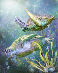 15985017_Sea_Turtles_-_Ancient_Travelers