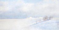 13712351_Simply_Snow_Landscape