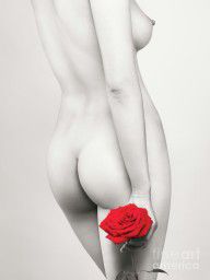 2269545_Beautiful_Naked_Woman_With_A_Rose