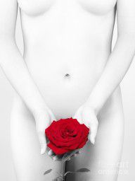7739463_Black_And_White_Nude_Woman_With_A_Red_Rose