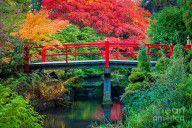 13745432_Kubota_Gardens_Bridge_Number_2