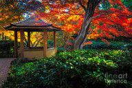 16814454_Japanese_Gardens