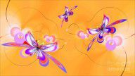 2531558_Sunshine_Flowers_And_Butterflies