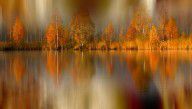 12803208_Autumn_Reflection_Digital_Photo_Art