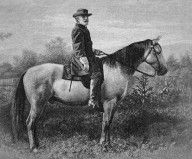 15823514_Robert_E_Lee_On_His_Horse_Traveler