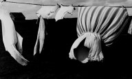 Josef Albers-Untitled (Laundry on a Clothesline)-ZYGU54590